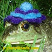 /home//u458753944/public_html/sourcegallery//////////Frogs/More bullfrogs/P6020099.JPG
